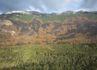 Incendio en el Parque: destacan que las lluvias de los últimos días representan un punto de inflexión en el operativo