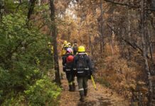 Bendita lluvia: cayeron 40 milímetros en la zona del incendio