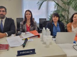 Caso Pardo: un jurado popular decidirá si la responsabilidad del imputado entre tres posturas diferentes