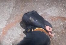 La Policía del Chubut detuvo a cuatro personas por el robo agravado a un local comercial