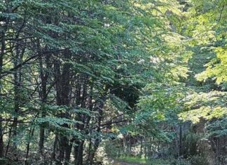 El municipio de Trevelin pidió por el mantenimiento del acceso al Lago Bagillt