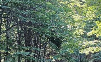 El municipio de Trevelin pidió por el mantenimiento del acceso al Lago Bagillt