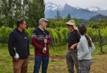 Trevelin celebra su Fiesta de los Viñedos