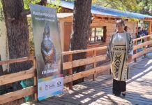 Trevelin dio la bienvenida a la temporada de otoño en las Cascadas Nant y Fall