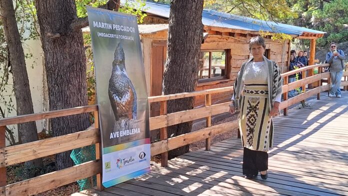 655958379_18106221814875777_6099427469334182676_n