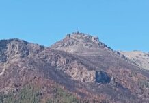 Anuncian que el incendio forestal en Puerto Patriada fue extinguido