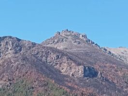 Anuncian que el incendio forestal en Puerto Patriada fue extinguido