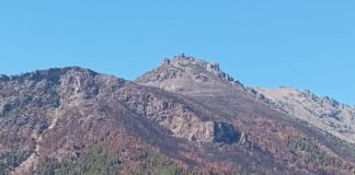 Anuncian que el incendio forestal en Puerto Patriada fue extinguido