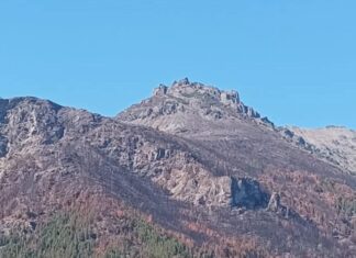 Anuncian que el incendio forestal en Puerto Patriada fue extinguido