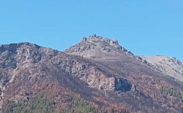 Anuncian que el incendio forestal en Puerto Patriada fue extinguido