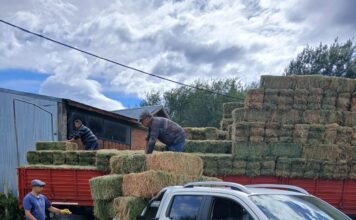 Entregaron fardos de alfalfa a productores afectados por los incendios