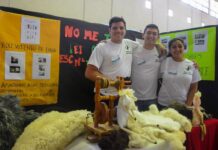 Desarrollo Emprendedor 2026: Chubut abre las preinscripciones para el Encuentro Empresarial de Jóvenes y Adultos