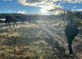 Hallan el cuerpo de una persona en la zona de El Huemul: investigan las causas del deceso