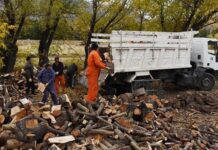 Plan Calor: buscan proveedores de leña para la temporada invernal
