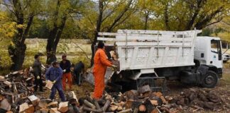 Plan Calor: buscan proveedores de leña para la temporada invernal