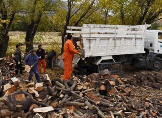 Plan Calor: ante la ola de frío, refuerzan la entrega de leña