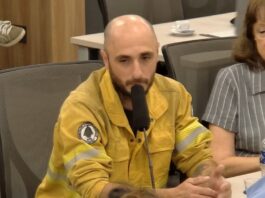 Mondino, tras su exposición en Diputados: “Sirve como puntapié para hablar de incendios en el Congreso”