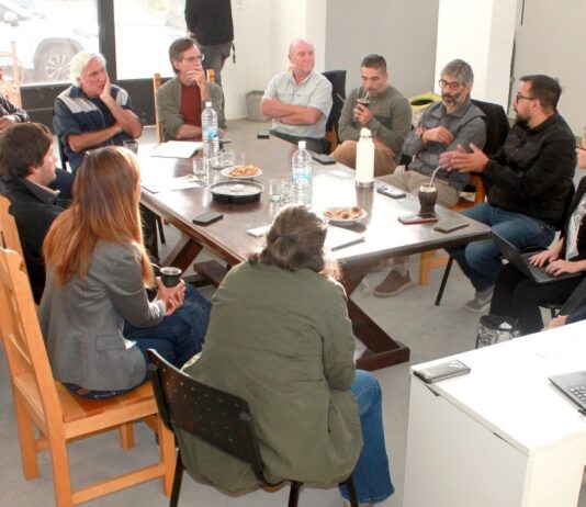 Presentan proyecto para renovar y modernizar el centro comercial de Esquel