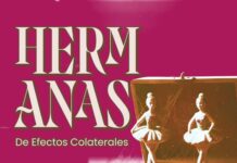 Teatro: El Jardín estrena “Hermanas” en Esquel