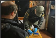 Operativo: secuestran marihuana en el acceso al Parque Nacional Los Alerces