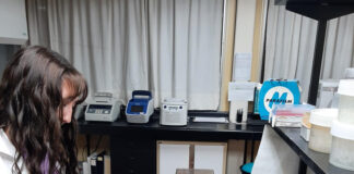 Una nueva licenciada de Chubut aportó conocimiento clave sobre especie invasora