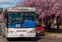 Austin defendió el aumento del transporte urbano: “Con 1.800 pesos hoy no comprás un alfajor ni una tableta de chicles”