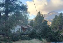 Este miércoles hubo un corte de energía por la caída de un árbol