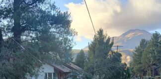 Este miércoles hubo un corte de energía por la caída de un árbol