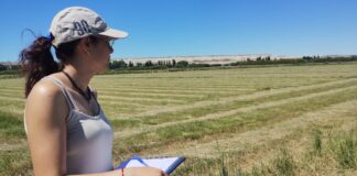 Chubut inicia con las becas doctorales cofinanciadas junto al CONICET