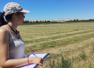 Chubut inicia con las becas doctorales cofinanciadas junto al CONICET