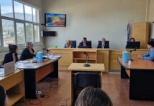 Femicidio de Ana Calfín: La Fiscalía defendió el veredicto del jurado popular ante la Cámara Penal