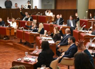 La Legislatura aprobó la ley que prohíbe el uso de los celulares en las cárceles