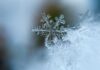 Este jueves: alerta amarilla por nevadas en la cordillera