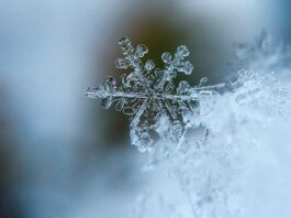 Este jueves: alerta amarilla por nevadas en la cordillera