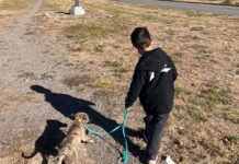 Fauna Urbana realiza una jornada gratuita de paseo, adopción y chipeo de mascotas