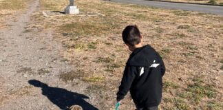 Fauna Urbana realiza una jornada gratuita de paseo, adopción y chipeo de mascotas