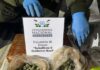 Secuestran más de 130 gramos de cannabis en operativo vehicular