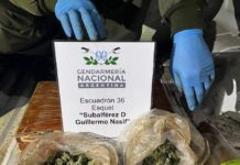 Secuestran más de 130 gramos de cannabis en operativo vehicular