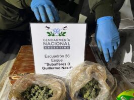 Secuestran más de 130 gramos de cannabis en operativo vehicular
