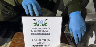 Secuestran más de 130 gramos de cannabis en operativo vehicular