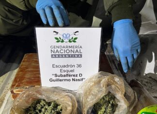 Secuestran más de 130 gramos de cannabis en operativo vehicular