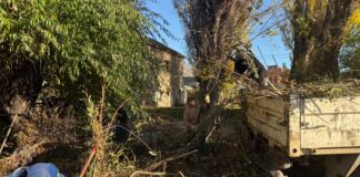 Realizan trabajos de limpieza y mantenimiento en el arroyo Esquel