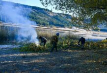 Avanzan las tareas de poda y prevención de incendios en La Zeta
