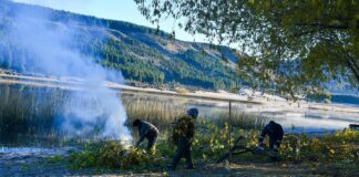 Avanzan las tareas de poda y prevención de incendios en La Zeta