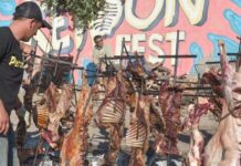 Este fin de semana llega la Keipon Fest: música, gastronomía, encuentro y tradición en Dolavon