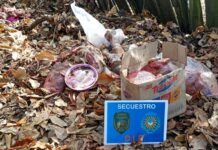 Abigeato: a 24 horas del robo recuperaron un animal faenado