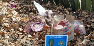 Abigeato: a 24 horas del robo recuperaron un animal faenado