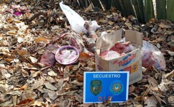 Abigeato: a 24 horas del robo recuperaron un animal faenado