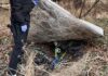 Recuperaron bici robado e identificaron a sospechosos con antecedentes por hechos similares