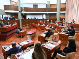 Legislatura: aprobaron la continuidad del Comando Unificado y convocaron al ministro Punta